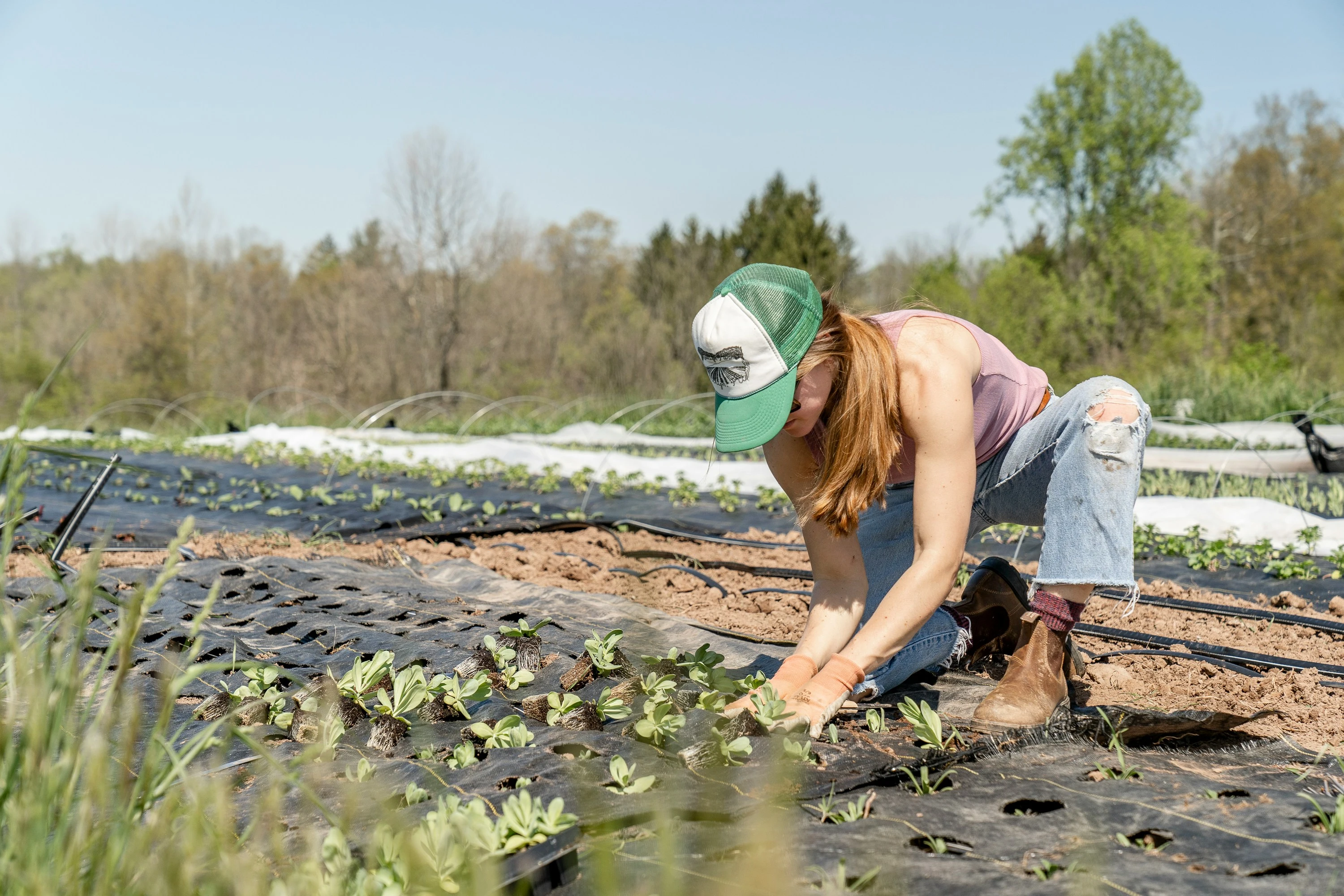 Experienced Gardeners