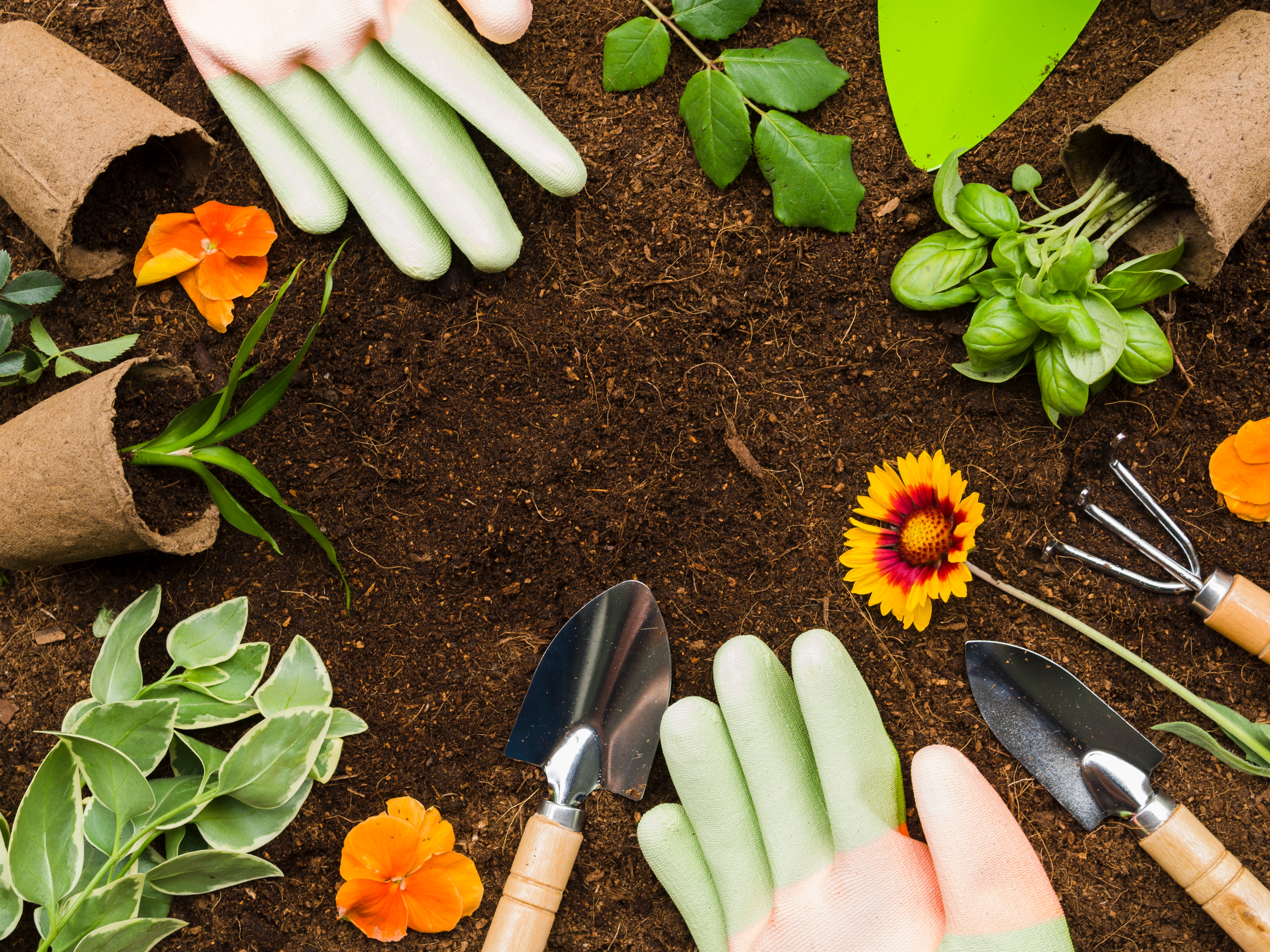 Advanced Gardening Equipment